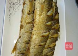 茄汁梭鱼的做法图解2