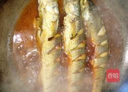 茄汁梭鱼的做法图解4