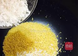 板栗小米粥的做法图解6