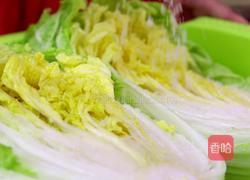 朝族媳妇教你正宗辣白菜的做法的做法图解7