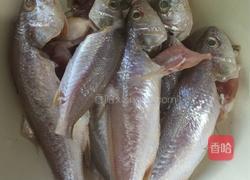 划鱼汤的做法图解1