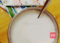 自制上海老酸奶的做法图解1