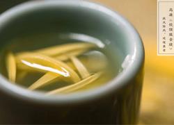 菊花酒酿制教程，独家古法秘方！