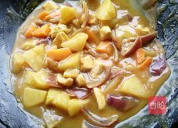 鸡肉土豆咖喱饭的做法图解7