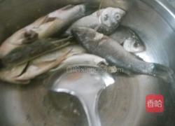 鲫鱼汤的做法图解3