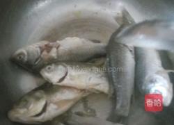 鲫鱼汤的做法图解4