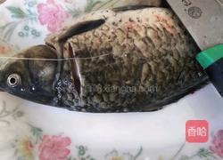 清蒸鲫鱼的做法图解2