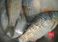 鲫鱼萝卜汤的做法图解1