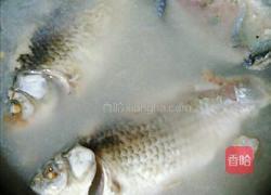 鲫鱼萝卜汤的做法图解5