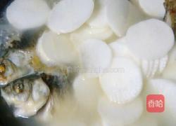 鲫鱼萝卜汤的做法图解6