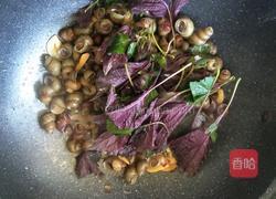 香辣田螺的做法图解11