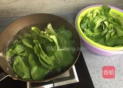荠菜香菇馄饨的做法图解8