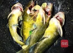 荷包蛋黄骨鱼汤的做法图解5