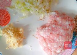 胡萝卜豆渣肉丸和白萝卜豆渣肉丸的做法图解1