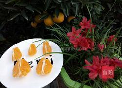 水晶葡萄的做法图解7