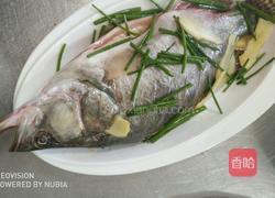 过水桂鱼的做法图解2