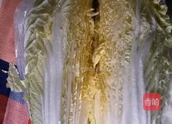 白菜肉烧豆腐的做法图解2