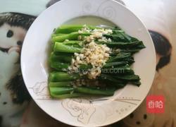 蒜蓉菜心的做法图解4