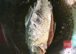 鲫鱼汤 的做法图解2