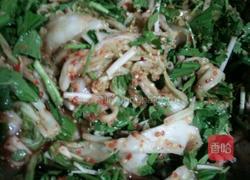 韩国四川小米辣白菜的做法图解5