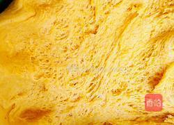 蝴蝶馒头的做法图解4