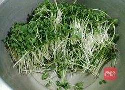 萝卜苗拌红果的做法图解3