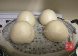 戗面馒头的做法图解9