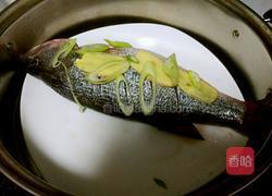 清蒸鲈鱼的做法图解4