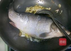 炖鲤鱼的做法图解5