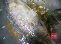 炖鲤鱼的做法图解7