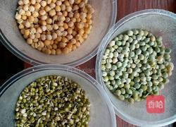 自己长大的健康豆芽的做法图解1