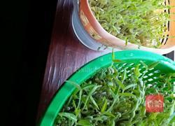 自己长大的健康豆芽的做法图解3