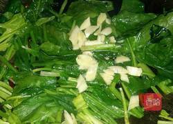 素炒菠菜的做法图解5