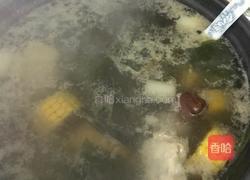 海带玉米排骨汤的做法图解12