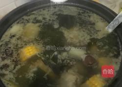 海带玉米排骨汤的做法图解13