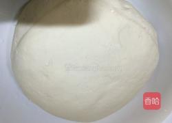 蘑菇叉烧包的做法图解1