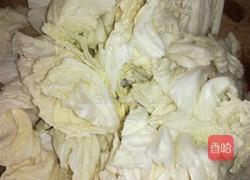 家常白菜炖粉条的做法图解3