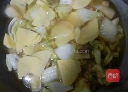 土豆白菜炖肉的做法图解8