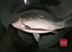 鲫鱼豆腐汤的做法图解2