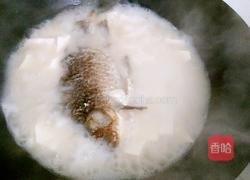 鲫鱼豆腐汤的做法图解7