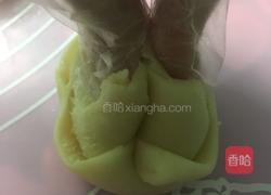 核桃酥的做法图解7