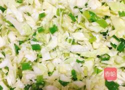 陕西小吃滋卷的做法图解3