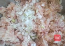 白萝卜猪肉饺子的做法图解5
