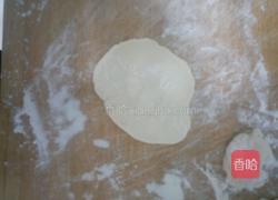 白萝卜猪肉饺子的做法图解12