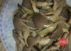 清炒平菇的做法图解7