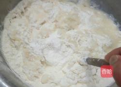 金牌锅贴的做法图解4