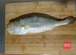 砂锅鱼炖豆腐的做法图解1