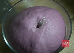 紫薯面包的做法图解8