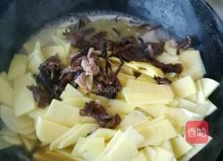 榛蘑土豆片的做法图解5