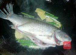 鲫鱼汤的做法图解4